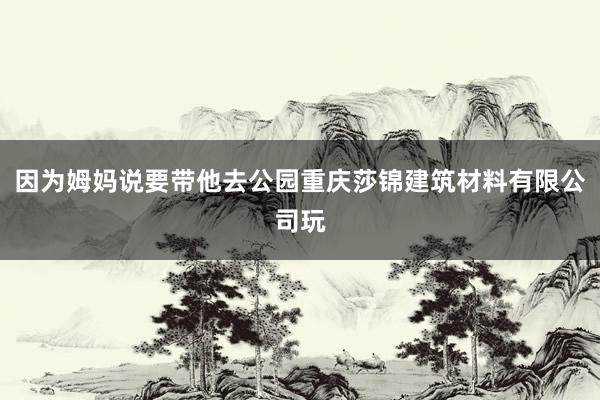 因为姆妈说要带他去公园重庆莎锦建筑材料有限公司玩